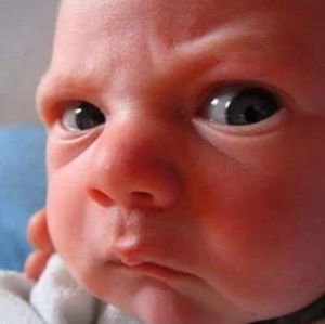 Meet your Posher, Jeff